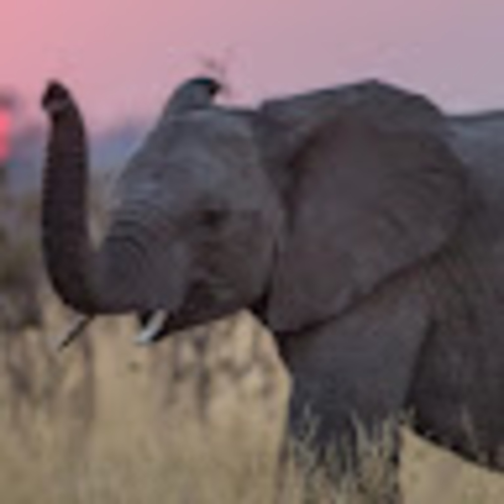 Meet your Posher, Meredith e.